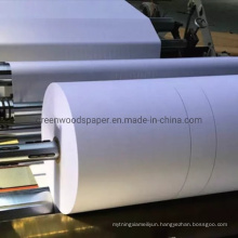 White Color Woodfree Office Paper in Reels